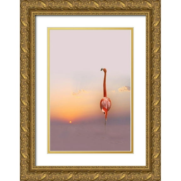 Cseresnjes, Anna 17x24 Gold Ornate Wood Framed with Double Matting Museum Art Print Titled - sunset
