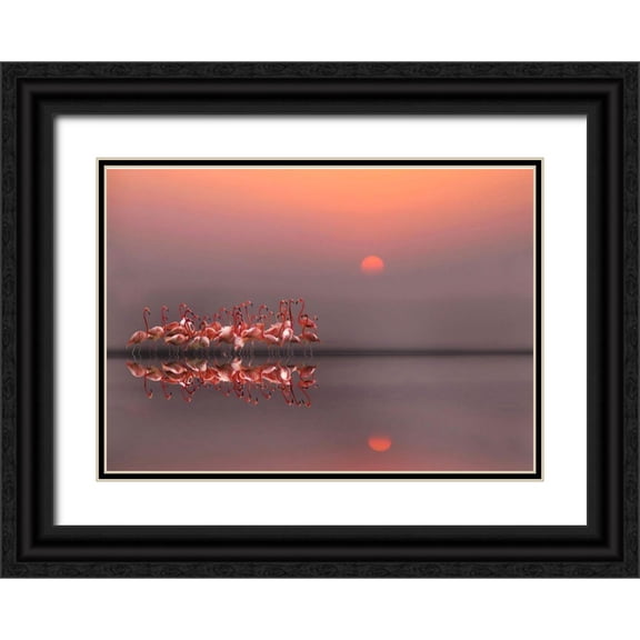 Cseresnjes, Anna 18x14 Black Ornate Wood Framed with Double Matting Museum Art Print Titled - purple sunset