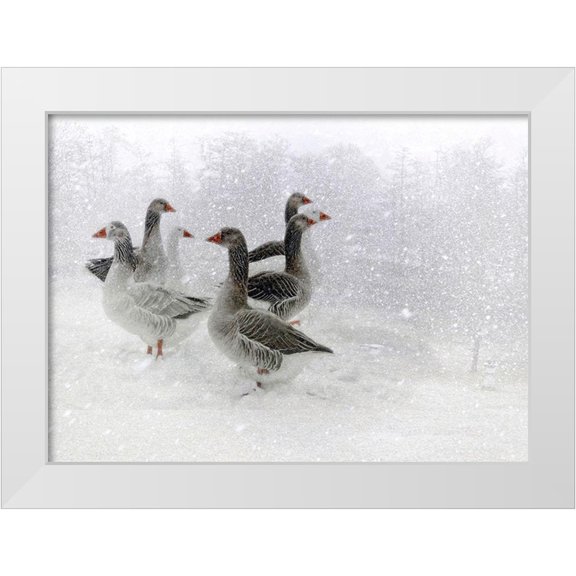 Cseresnjes, Anna 32x24 White Modern Wood Framed Museum Art Print Titled - Lost In A White World