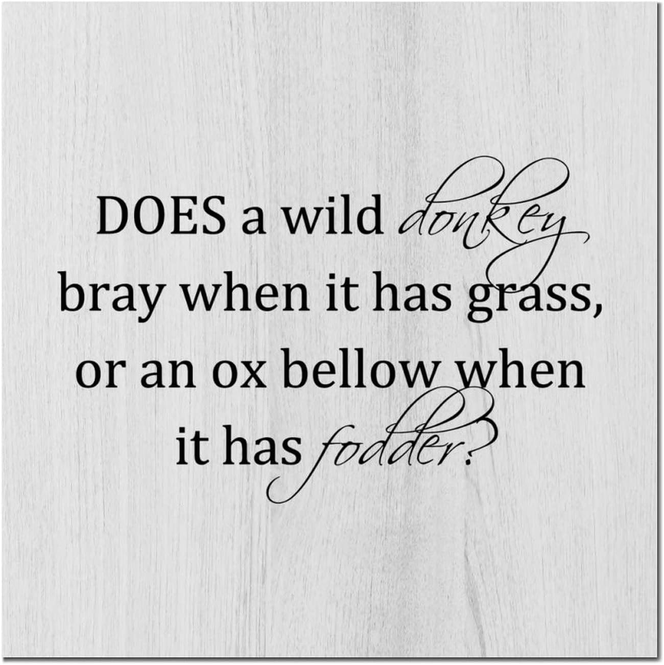 Cskhip Does A Wild Donkey Bray When It Has Grass, Or An Ox Bellow When ...