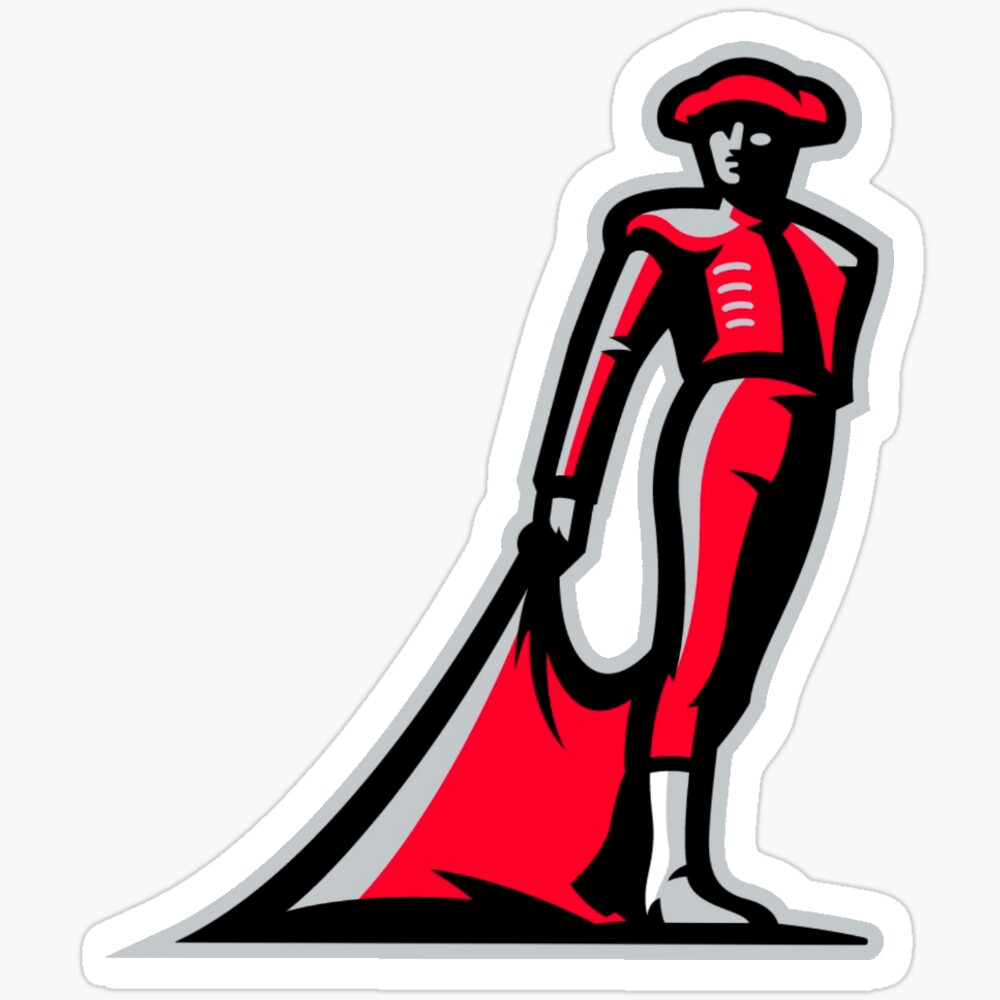 Csun Sticker Phone Decal Water Bottle Stickers Car Decals, Laptop ...