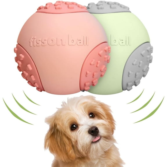 Cteifuer 2 Pack Pet Ball: Latex Pet Toy Durable Dog Fetch Ball for Small and Medium Dogs Cats