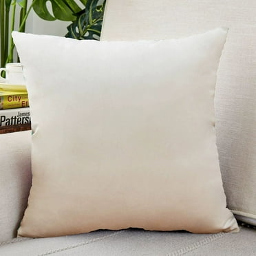 Cterwk 1 Pack Decorative Soft Velvet Throw Pillow Case Square Pillowcase Solid Pillow Cover for Sofa Bed Chair Office, 16x16 inch