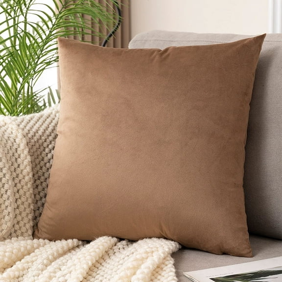 Cterwk 1 Pack Velvet Throw Pillow Cover Decorative Pillow Case Soft Solid Square Cushion Case for Couch, Sofa, Bed, Office, 22x22 inch