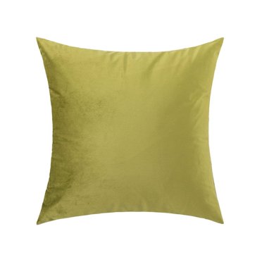 Cterwk 1 Pack Velvet Throw Pillow Cover Soft Pillowcases Decorative Square Cushion Case for Couch Sofa Bedroom Car, 16x16 inch