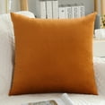 thumbnail image 1 of Cterwk 1 Pack Velvet Throw Pillow Cover Soft Square Cushion Case Modern Decorative Pillowcase for Couch Bed Sofa Chair, 16" x 16", 1 of 8