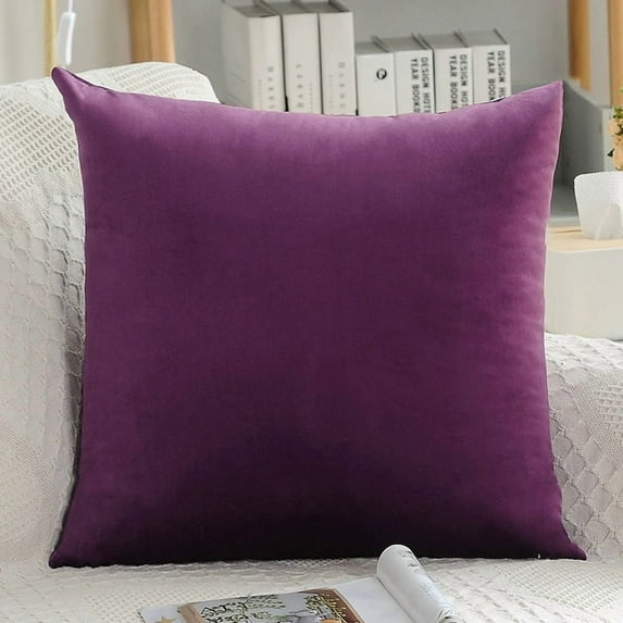 Cterwk 1 Pack Velvet Throw Pillow Cover Soft Square Cushion Case Modern Decorative Pillowcase for Couch Bed Sofa Chair, 20" x 20"