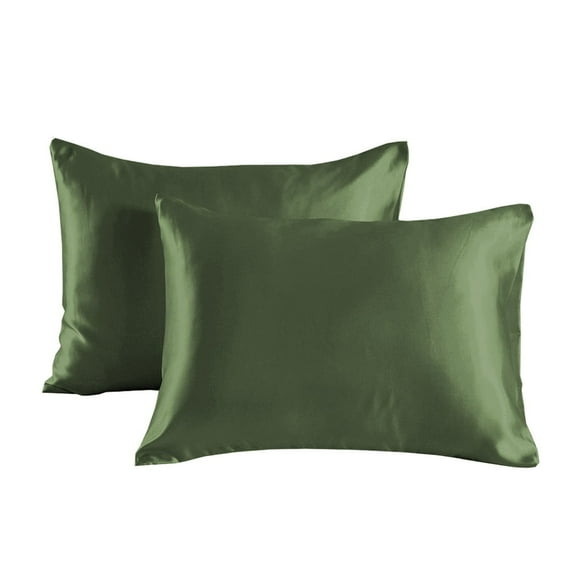 Cterwk 2 Pack Satin Silk Pillowcase, Soft Pillow Case for Hair and Skin, Bed Pillow Covers, 20 x 40 inches