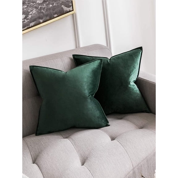 Cterwk 2 Pack Soft Velvet Square Throw Pillow Covers Square Cushion Case for Bed Couch Sofa Bench, 16 x 16 inch