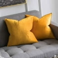 thumbnail image 1 of Cterwk 2 Pack Soft Velvet Square Throw Pillow Covers Square Cushion Case for Bed Couch Sofa Bench, 18 x 18 inch, 1 of 7