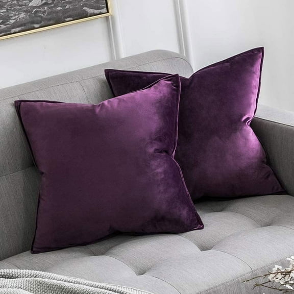 Cterwk 2 Pack Soft Velvet Square Throw Pillow Covers Square Cushion Case for Bed Couch Sofa Bench, 20 x 20 inch