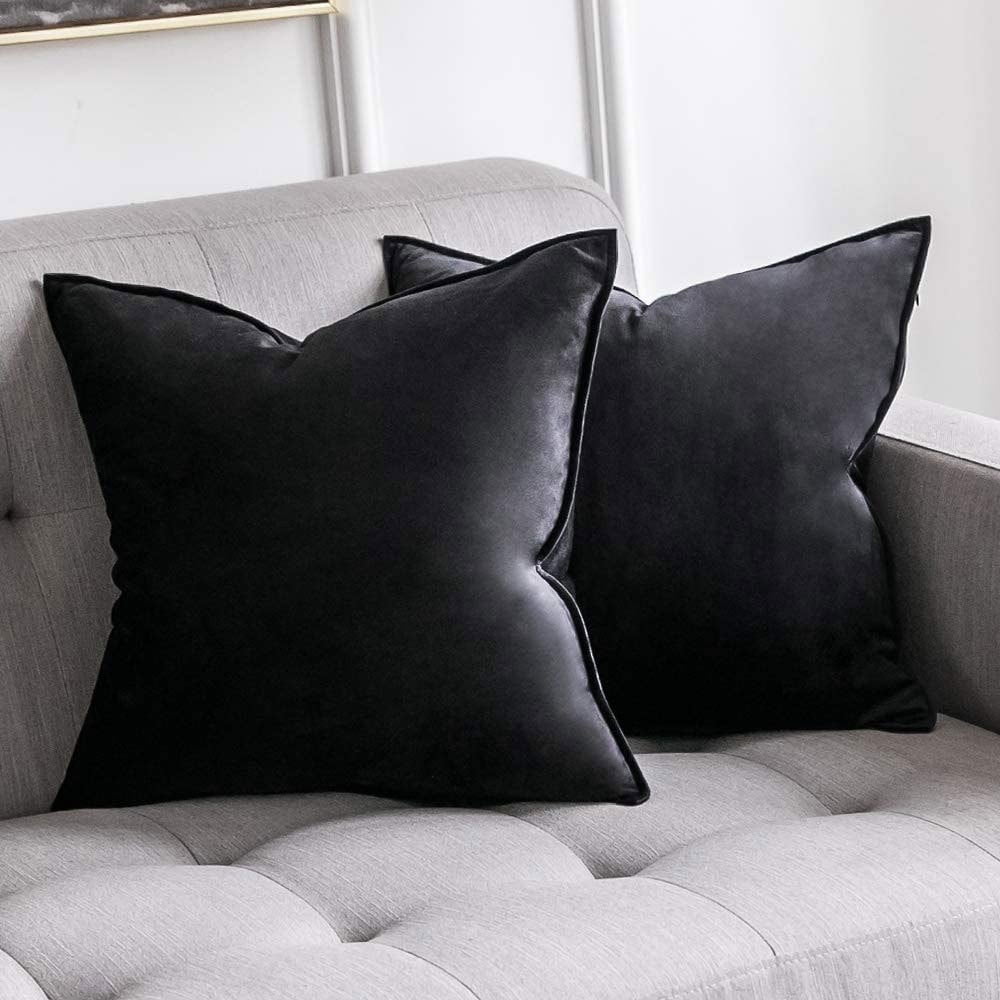 Cterwk 2 Pack Soft Velvet Square Throw Pillow Covers Square Cushion Case for Bed Couch Sofa Bench, 20 x 20 inch