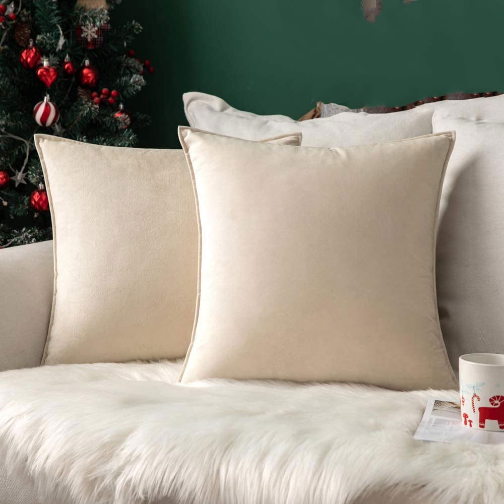 Cterwk 2 Pack Soft Velvet Square Throw Pillow Covers Square Cushion Case for Bed Couch Sofa Bench, 24 x 24 inch