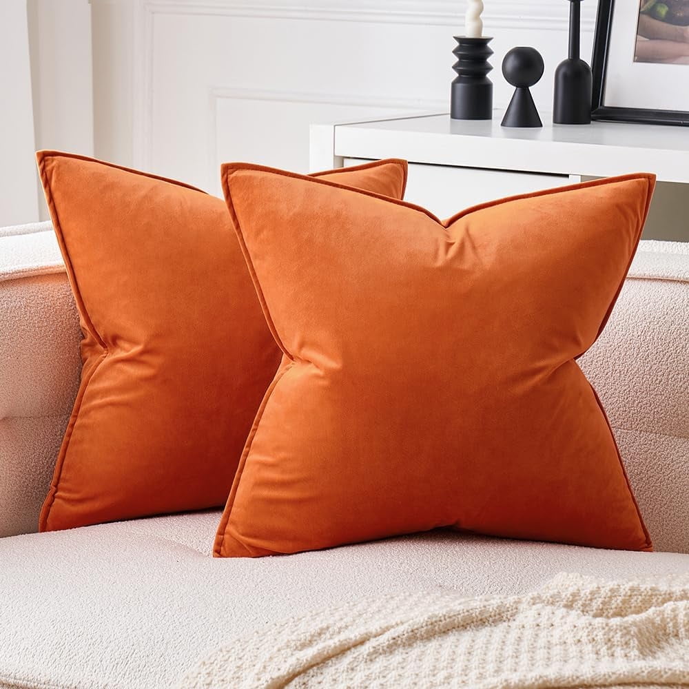 Cterwk 2 Pack Soft Velvet Square Throw Pillow Covers Square Cushion Case for Bed Couch Sofa Bench, 24 x 24 inch