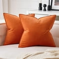 thumbnail image 1 of Cterwk 2 Pack Soft Velvet Square Throw Pillow Covers Square Cushion Case for Bed Couch Sofa Bench, 24 x 24 inch, 1 of 7