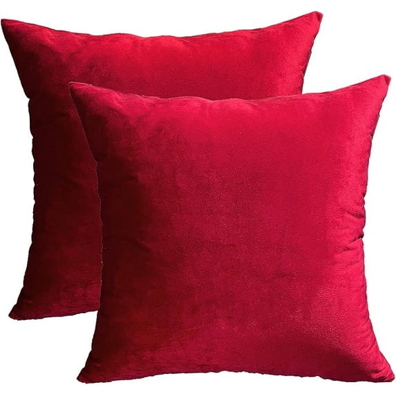Cterwk 2 Pack Velvet Soft Solid Throw Pillow Covers Decorative Square Cushion Case for Sofa Bedroom Car 22x22 Inch
