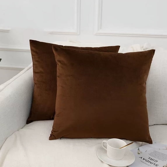Cterwk 2 Pack Velvet Soft Throw Pillow Covers Solid Color Decorative Square Pillow Case for Couch Sofa Living Room Bedroom, 20x20 inch