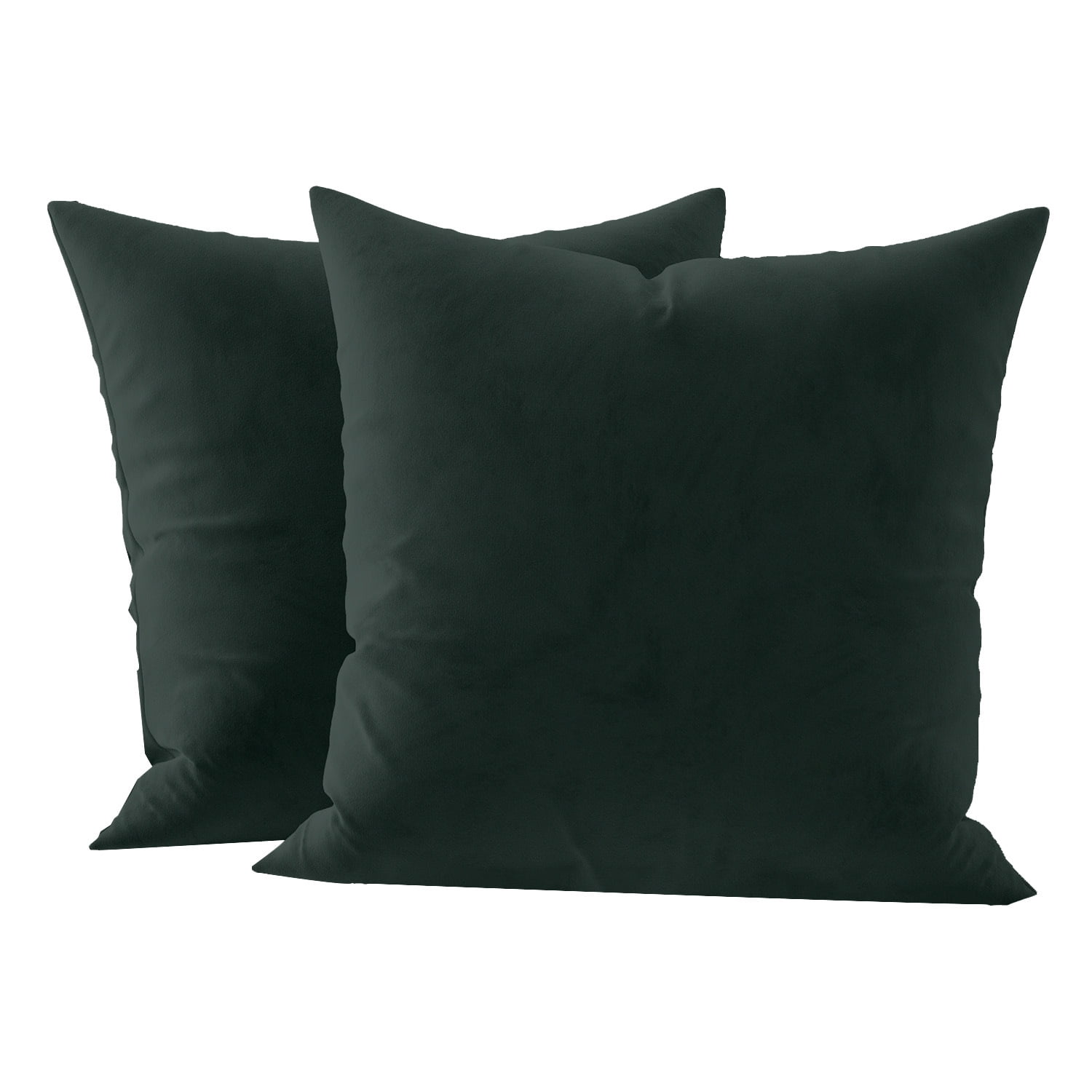 Cterwk 2 Pack Velvet Square Throw Pillow Cover with Zipper, Super Soft Luxury Decorative Cushion Cover for Sofa, Couch, Bedroom, 20 x 20inch