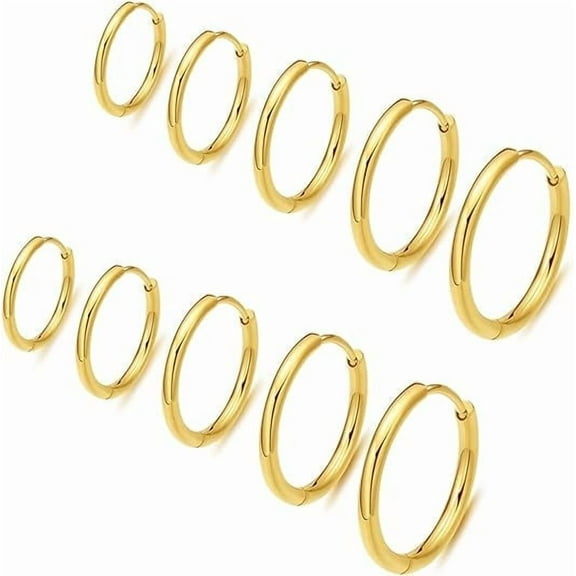 Cterwk 5 Pairs 316L Stainless Steel Hoop Earrings, 8mm-166mm Small Hoop Earrings for Women Men, Gold