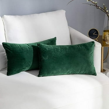 Cterwk Decorative Velvet Throw Pillow Cover Soft Pillow Covers Soild Square Cushion Case for Sofa Bedroom, 12" x 20"