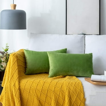 Cterwk Decorative Velvet Throw Pillow Cover Soft Pillow Covers Soild Square Cushion Case for Sofa Bedroom, 12" x 20"