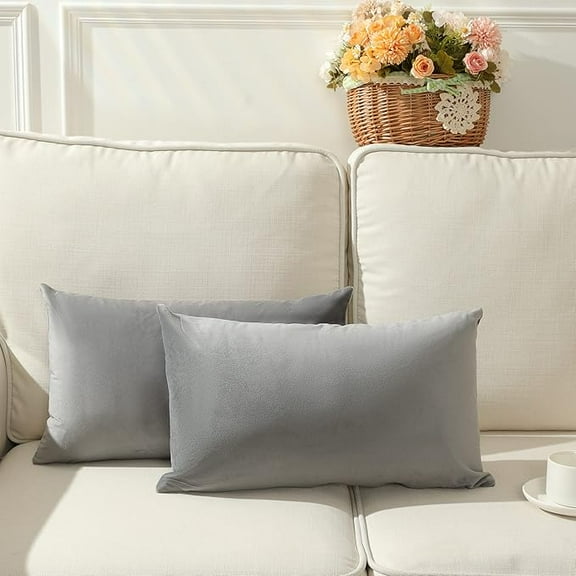 Cterwk Decorative Velvet Throw Pillow Cover Soft Pillow Covers Soild Square Cushion Case for Sofa Bedroom, 12" x 20"