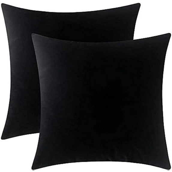 Cterwk Pack of 2 Velvet Decorative Throw Pillow Covers Soft Solid Square Cushion Cover Pillow for Living Room, Bedroom, Office, 18 x 18 inches