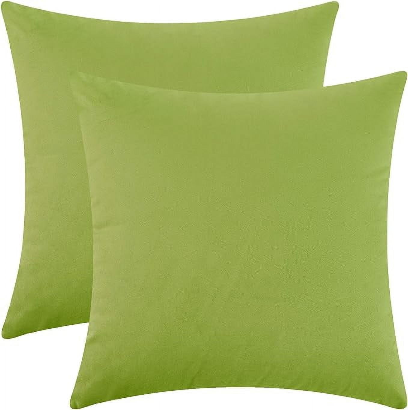 Set of 2 Light Green Velvet Euro Pillow Covers