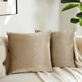 thumbnail image 1 of Cterwk Pack of 2 Velvet Decorative Throw Pillow Covers Square Pillowcase Soft Cushion Case for Sofa, Couch, Bedroom, 20x20 Inch, 1 of 8