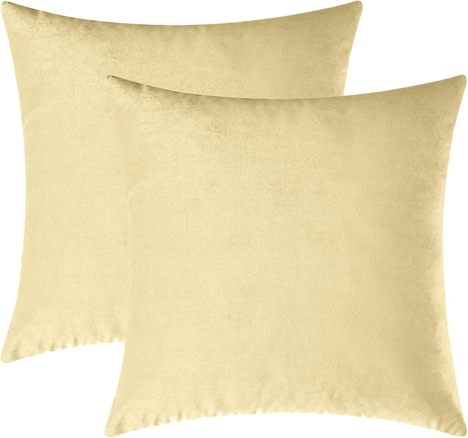 Cterwk Pack of 2 Velvet Soft Throw Pillow Covers Solid Decorative Pillowcase Square Pillow Case for Sofa Bedroom Car, 18x18 Inch
