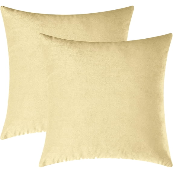 Cterwk Pack of 2 Velvet Soft Throw Pillow Covers Solid Decorative Pillowcase Square Pillow Case for Sofa Bedroom Car, 18x18 Inch