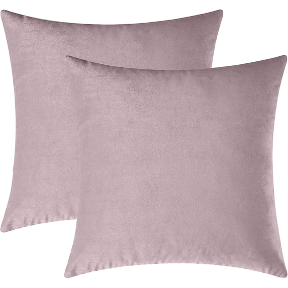 Cterwk Pack of 2 Velvet Soft Throw Pillow Covers Solid Decorative Pillowcase Square Pillow Case for Sofa Bedroom Car, 18x18 Inch