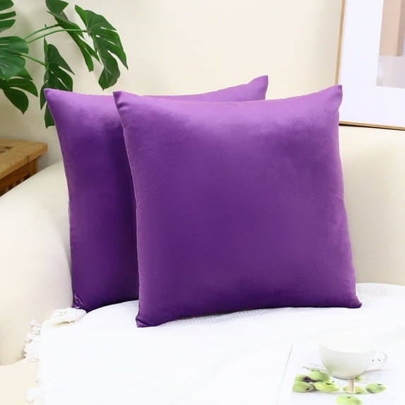 Cterwk Pack of 2 Velvet Throw Pillow Cover Soft Decorative Square Cushion Cover for Couch Sofa Bed Livingroom Car, 16x16 inch