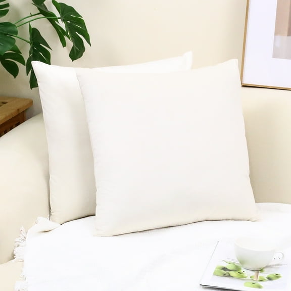 Cterwk Pack of 2 Velvet Throw Pillow Cover Soft Decorative Square Cushion Cover for Couch Sofa Bed Livingroom Car, 16x16 inch