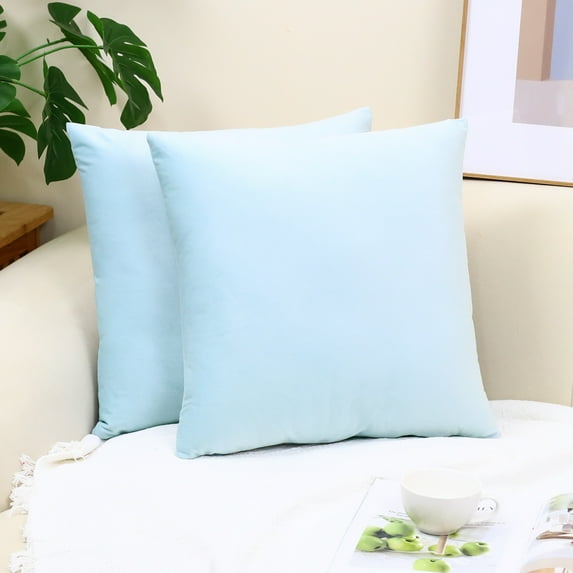 Cterwk Pack of 2 Velvet Throw Pillow Cover Soft Decorative Square Cushion Cover for Couch Sofa Bed Livingroom Car, 18x18 inch