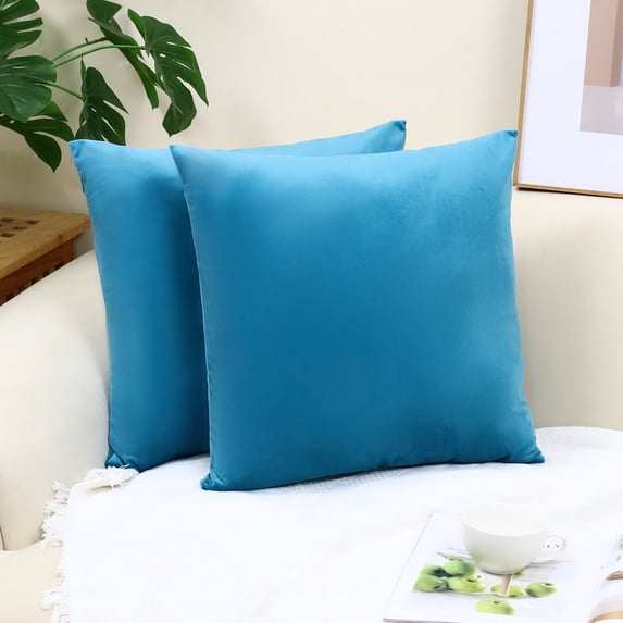 Cterwk Pack of 2 Velvet Throw Pillow Cover Soft Decorative Square Cushion Cover for Couch Sofa Bed Livingroom Car, 20x20 inch