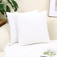 thumbnail image 1 of Cterwk Pack of 2 Velvet Throw Pillow Cover Soft Decorative Square Cushion Cover for Couch Sofa Bed Livingroom Car, 22x22 inch, 1 of 6
