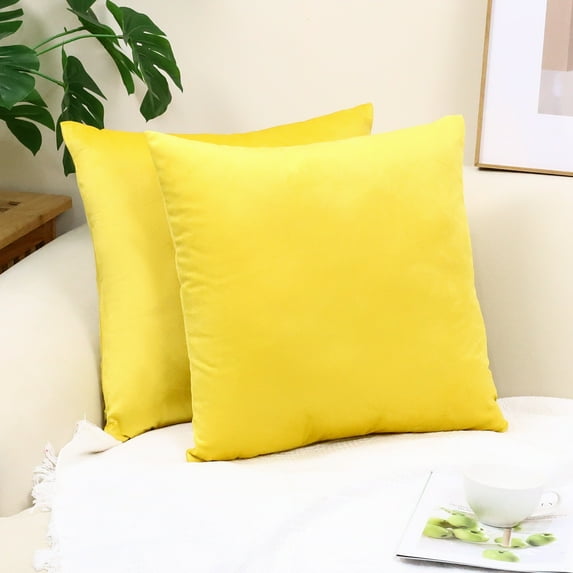 Cterwk Pack of 2 Velvet Throw Pillow Cover Soft Decorative Square Cushion Cover for Couch Sofa Bed Livingroom Car, 24x24 inch
