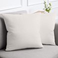 thumbnail image 1 of Cterwk Pack of 2 Velvet Throw Pillow Covers Soft Decorative Square Cushion Covers for Couch Sofa Bed Livingroom Car,18x18inch, 1 of 6