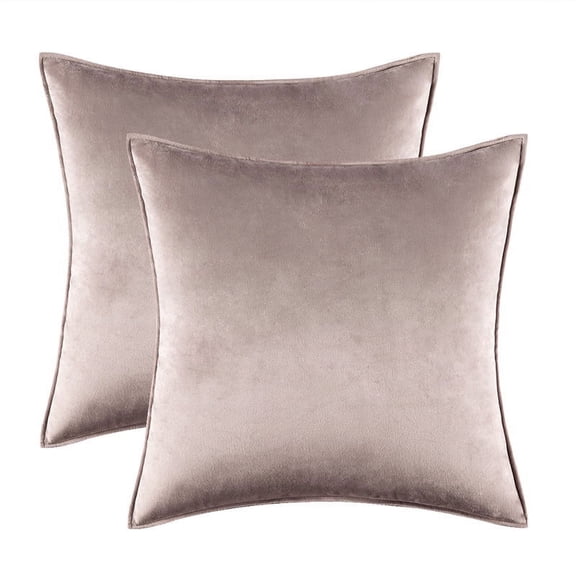 Cterwk Pack of 2 Velvet Throw Pillow Covers Soft Solid Decorative Square Cushion Case for Sofa Bedroom Living Room, 18x18 inch