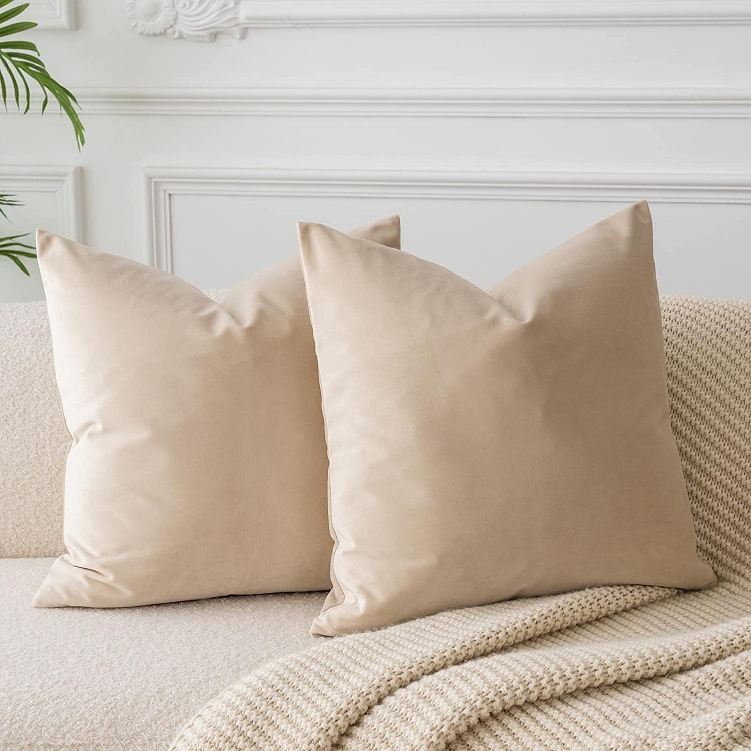 Cterwk Set of 2 Comfy Throw Pillow Covers Decorative Square Solid Thick Velvet Super Soft Cushion Cases Sofa Living Room Chair, 16 x 16 Inch