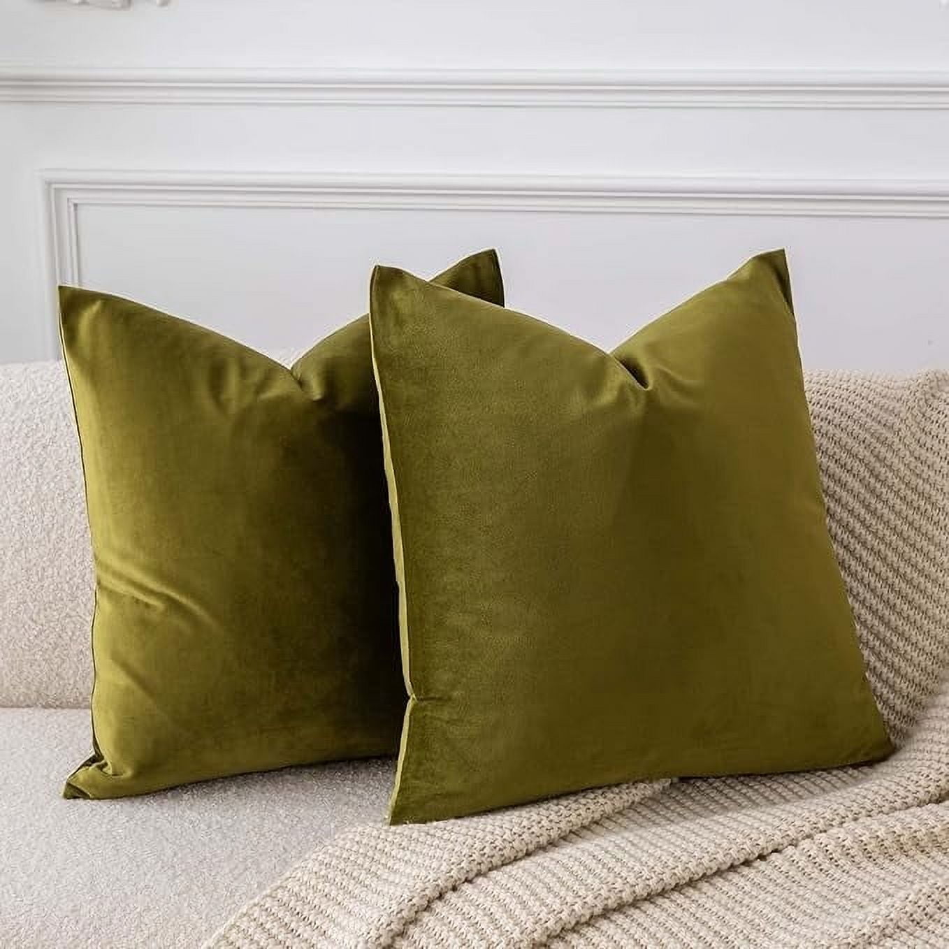 Cterwk Set of 2 Comfy Throw Pillow Covers Decorative Square Solid Thick Velvet Super Soft Cushion Cases Sofa Living Room Chair, 18 x 18 Inch