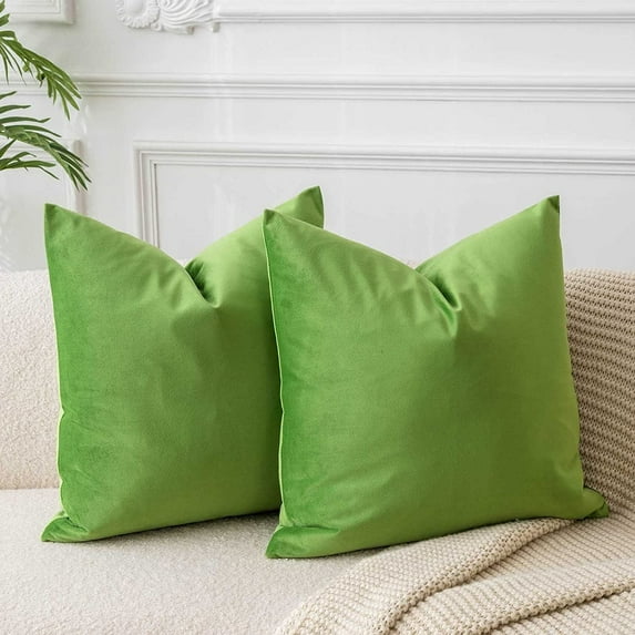Cterwk Set of 2 Comfy Throw Pillow Covers Decorative Square Solid Thick Velvet Super Soft Cushion Cases Sofa Living Room Chair, 18 x 18 Inch