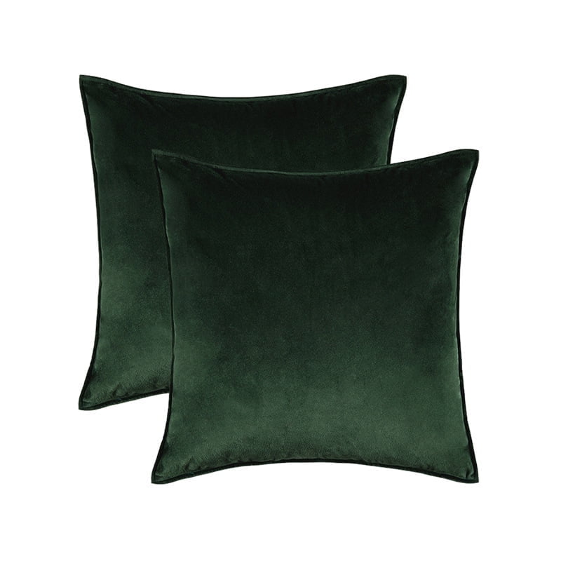 Cterwk Set of 2 Soft Velvet Throw Pillow Cover with Zipper, Decorative Solid Square Cushion Cases for Bedroom Car Sofa Couch, 20 x 20inch
