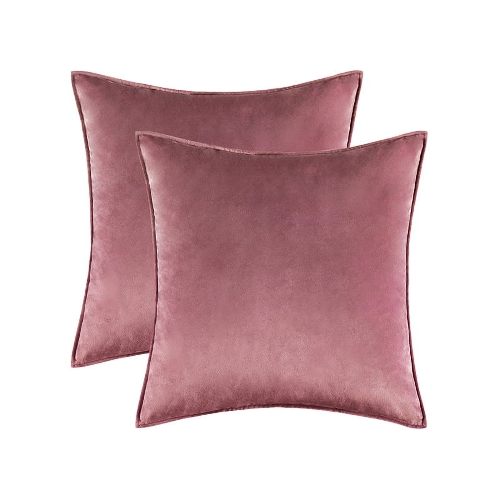 Cterwk Set of 2 Soft Velvet Throw Pillow Cover with Zipper, Decorative Solid Square Cushion Cases for Bedroom Car Sofa Couch, 20 x 20inch