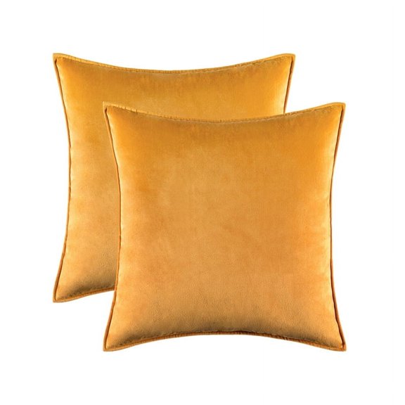 Cterwk Pack of 2 Velvet Throw Pillow Covers Soft Solid Decorative Square Cushion Case for Sofa Bedroom Living Room, 18x18 inch