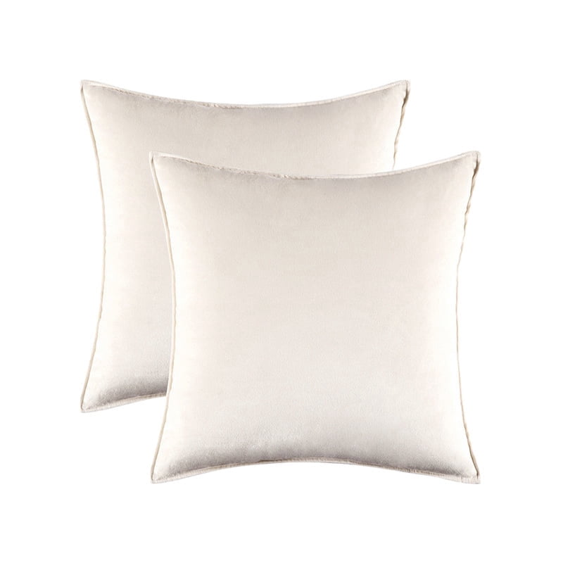 Cterwk Set of 2 Soft Velvet Throw Pillow Cover with Zipper, Decorative Solid Square Cushion Cases for Bedroom Car Sofa Couch, 20 x 20inch