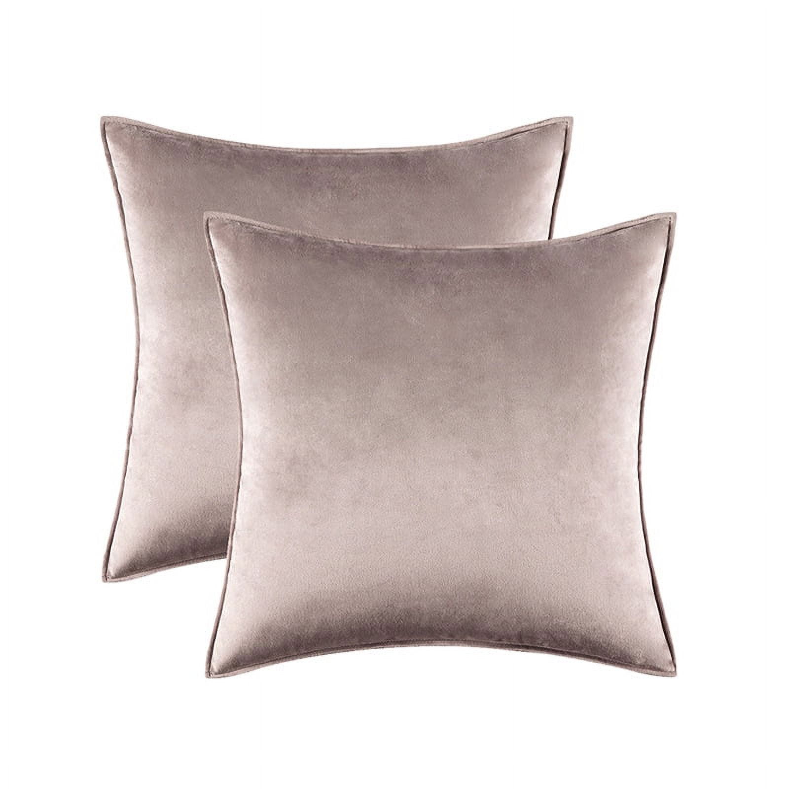 Cterwk Set of 2 Soft Velvet Throw Pillow Cover with Zipper, Decorative Solid Square Cushion Cases for Bedroom Car Sofa Couch, 20 x 20inch