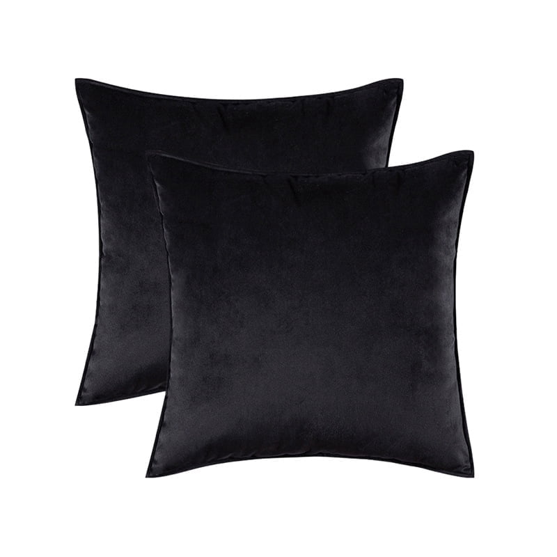 Cterwk Set of 2 Soft Velvet Throw Pillow Cover with Zipper, Decorative Solid Square Cushion Cases for Bedroom Car Sofa Couch, 20 x 20inch