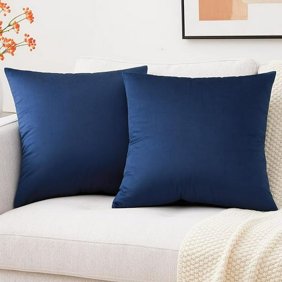 Cterwk Set of 2 Soft Velvet Throw Pillows Covers Decorative Pillow Covers for Couch Bed Sofa, 16x16 Inch